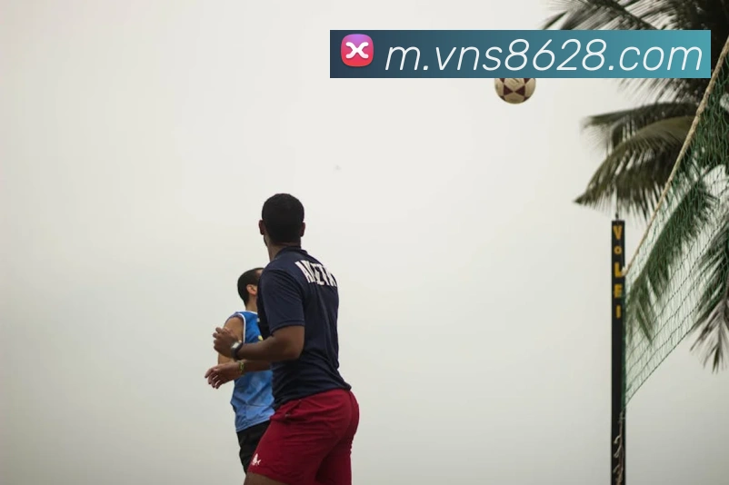 对战数据统计